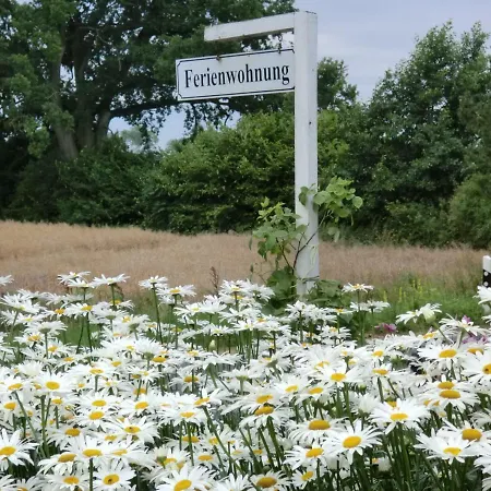 Am Sophienberg Apartment *