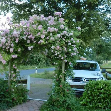 Apartment Am Sophienberg